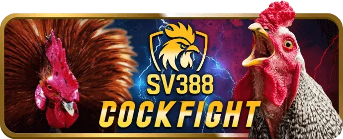 Hỗ trợ kỹ thuật 88betwin